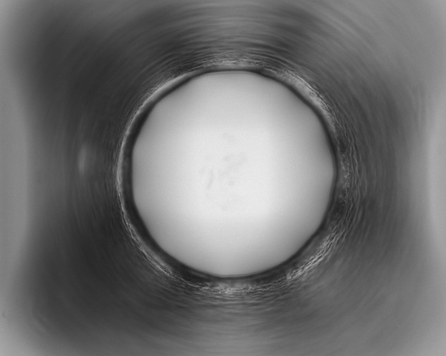 X0000096180803200802081458