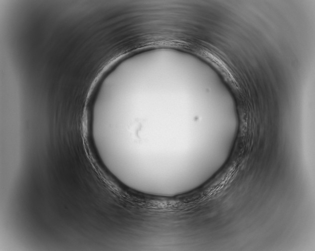 X0000096180804200802081458