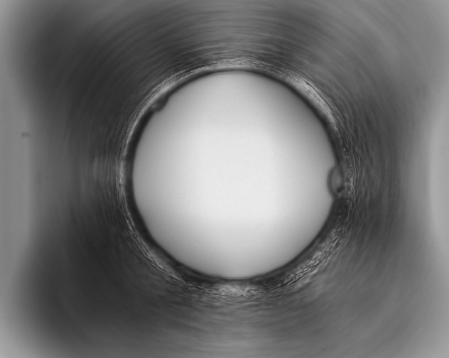 X0000096180805200802081458