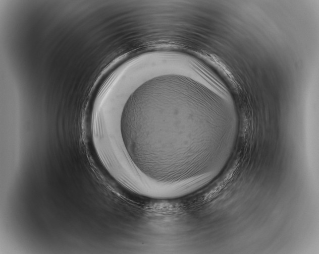X0000096180806200802081458