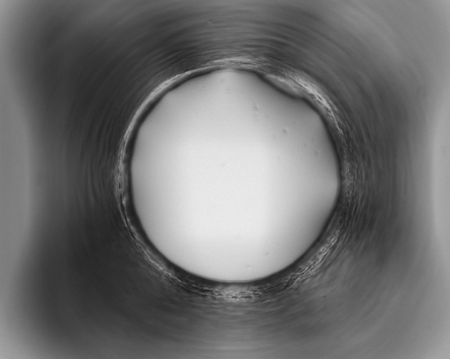 X0000096180808200802081458