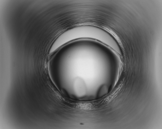X0000096180809200802081458