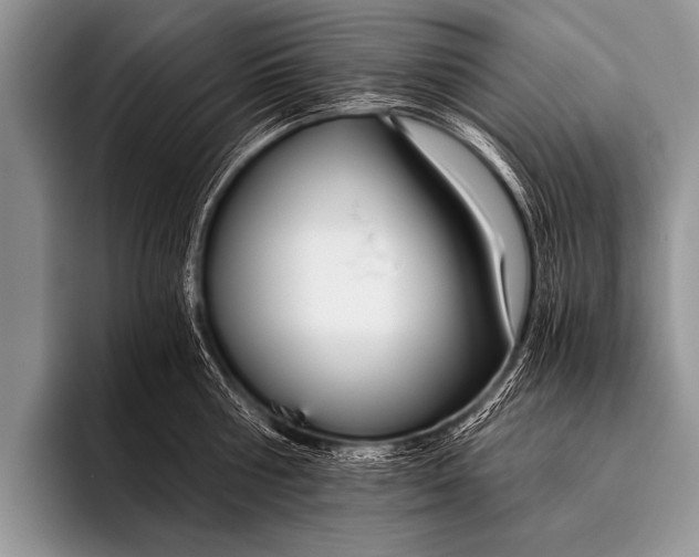 X0000096180810200802081458