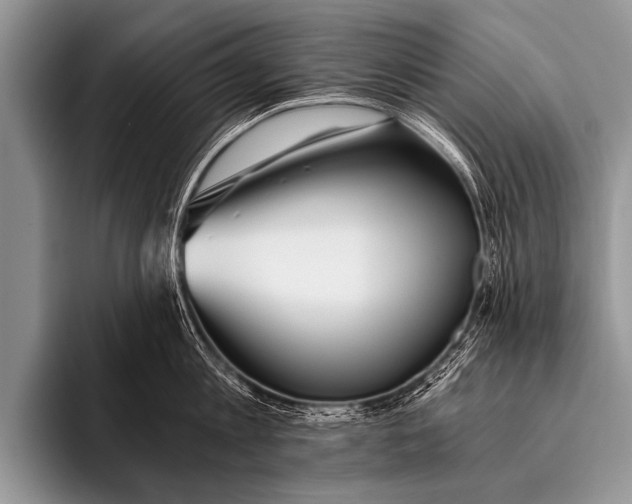 X0000096180813200802081458