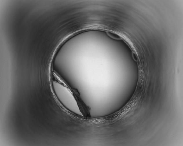 X0000096180815200802081458