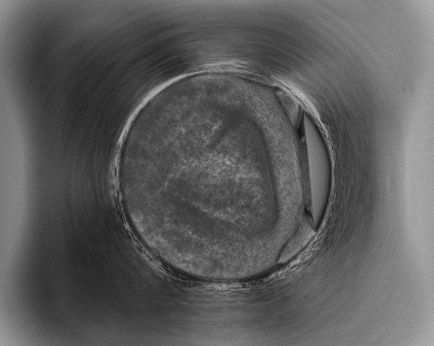 X0000096180816200802081458
