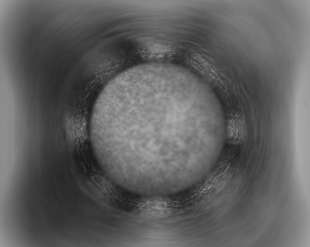 X0000096180820200802081457