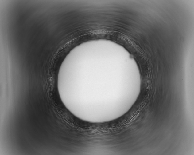 X0000096180821200802081457
