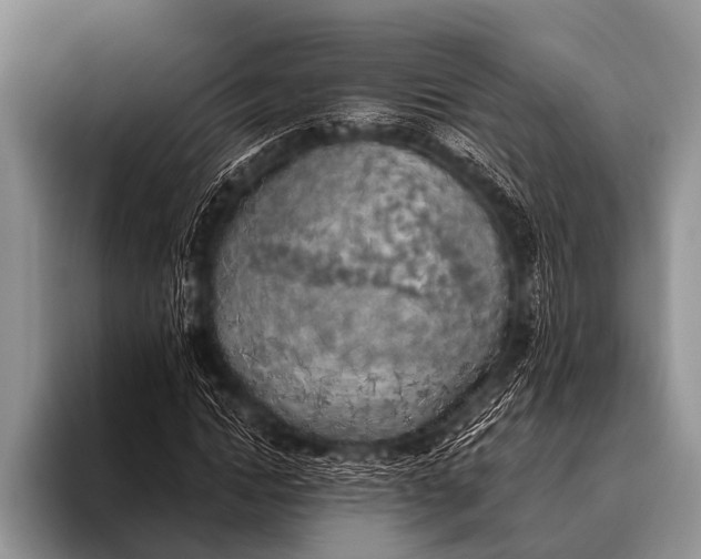 X0000096180822200802081457