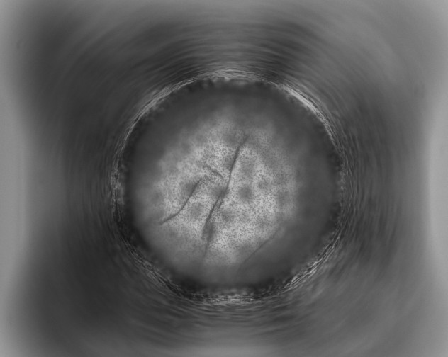 X0000096180823200802081457