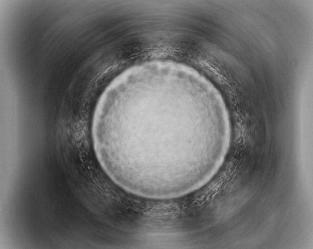 X0000096180824200802081457