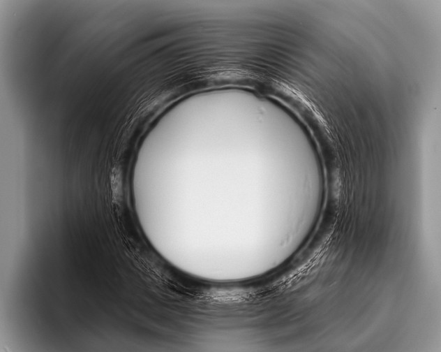 X0000096180825200802081457