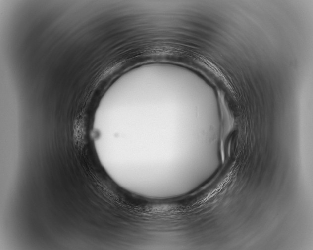 X0000096180826200802081458