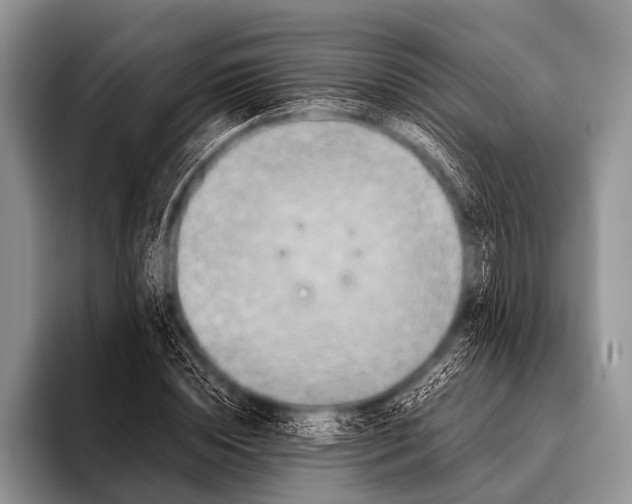 X0000096180828200802081458