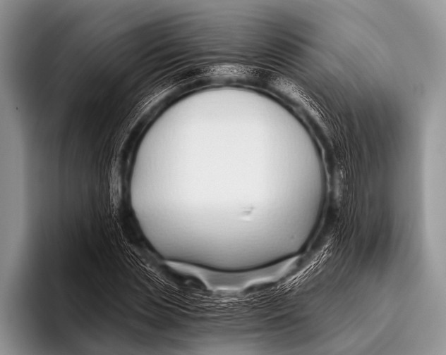 X0000096180829200802081458