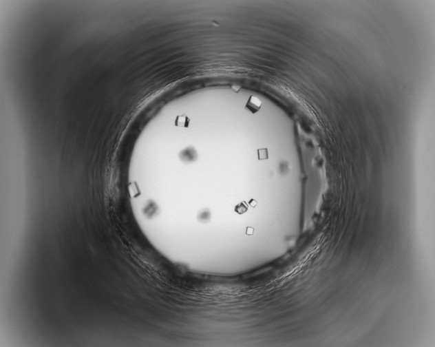 X0000096180830200802081458