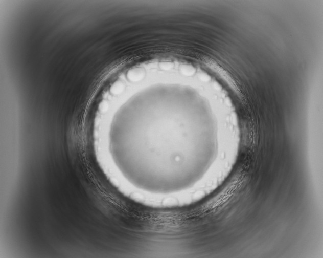 X0000096180832200802081458