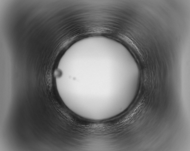 X0000096180834200802081458
