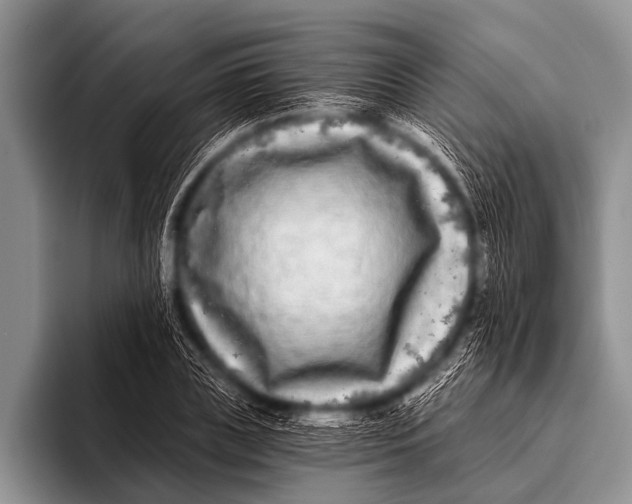 X0000096180835200802081458