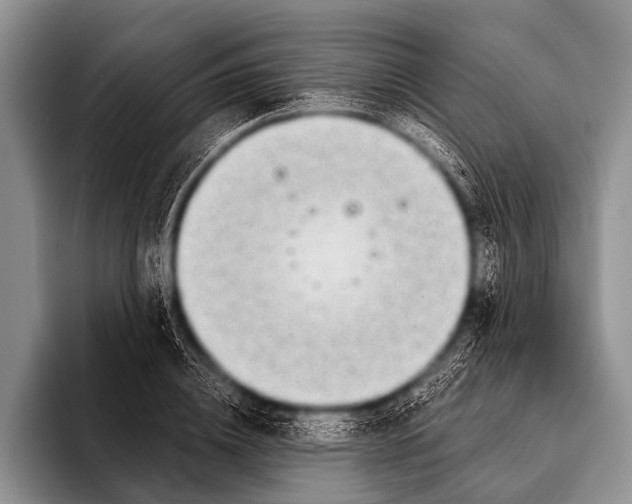 X0000096180836200802081458
