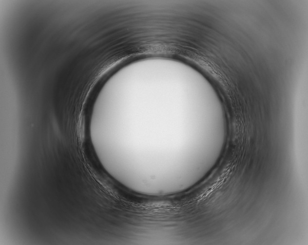 X0000096180838200802081458
