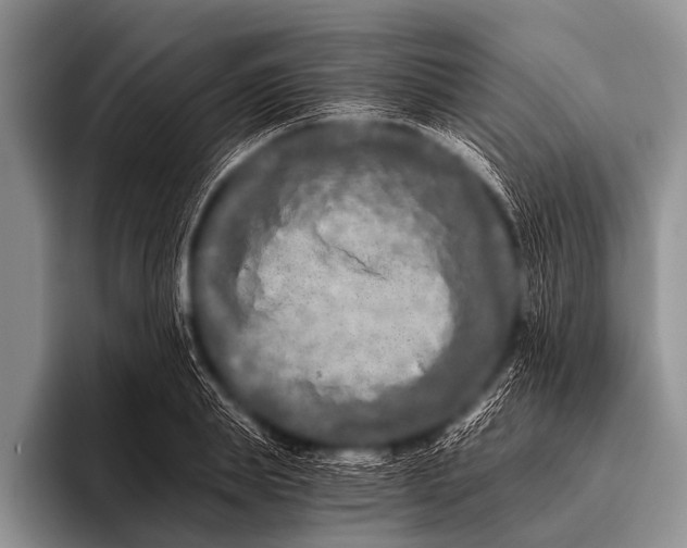 X0000096180839200802081458