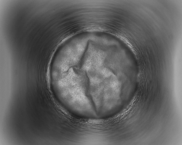 X0000096180840200802081458