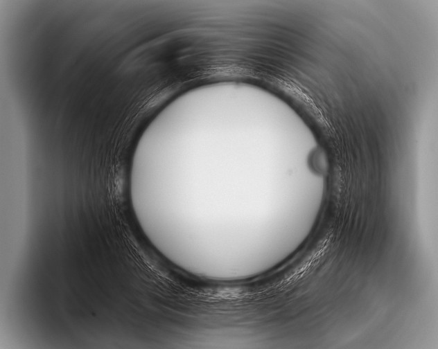 X0000096180841200802081458