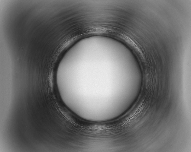 X0000096180842200802081458