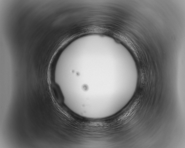 X0000096180843200802081458
