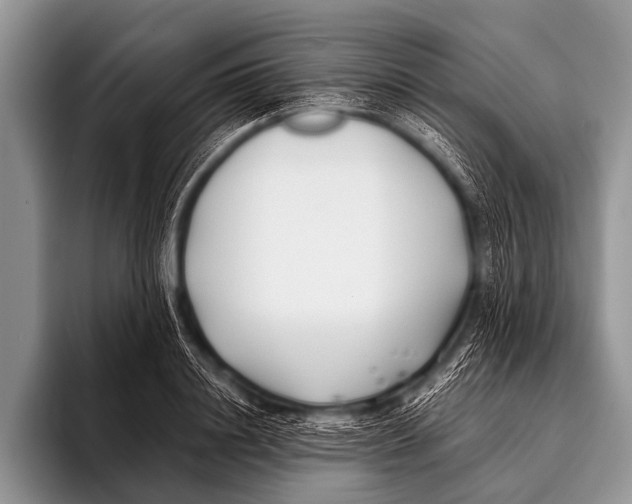 X0000096180844200802081458