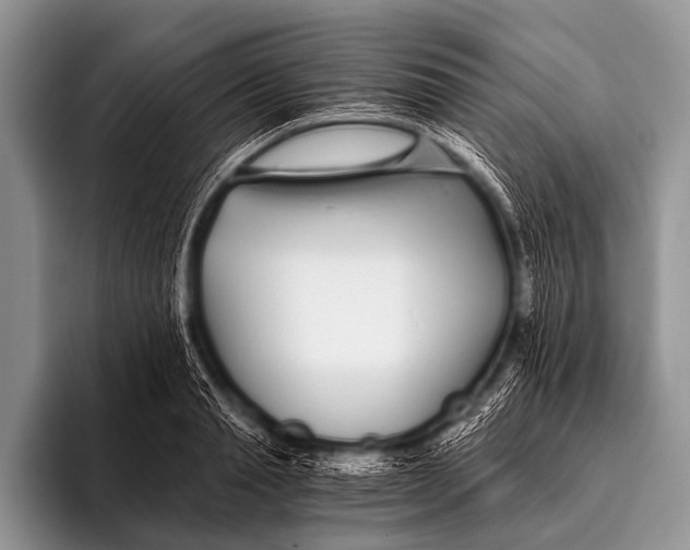 X0000096180845200802081458