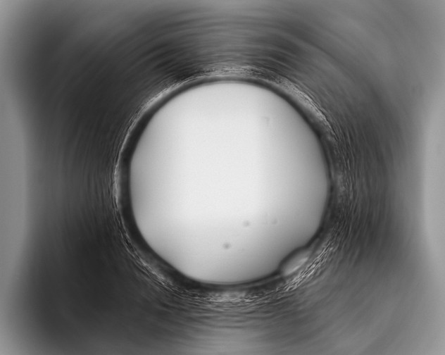 X0000096180846200802081458
