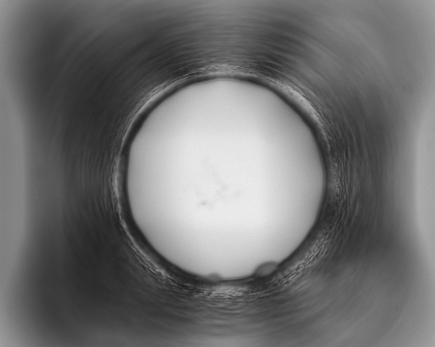 X0000096180847200802081458