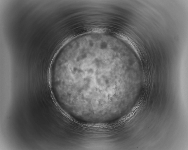 X0000096180851200802081458