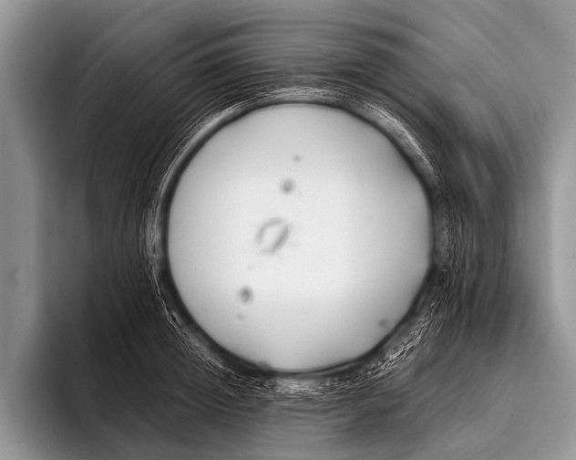 X0000096180852200802081458