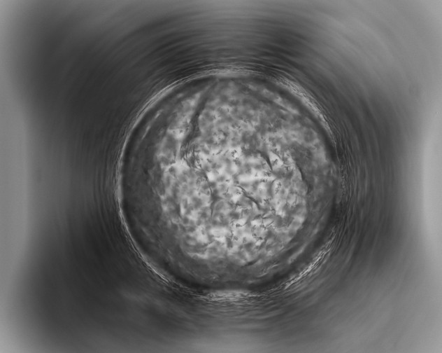 X0000096180853200802081458
