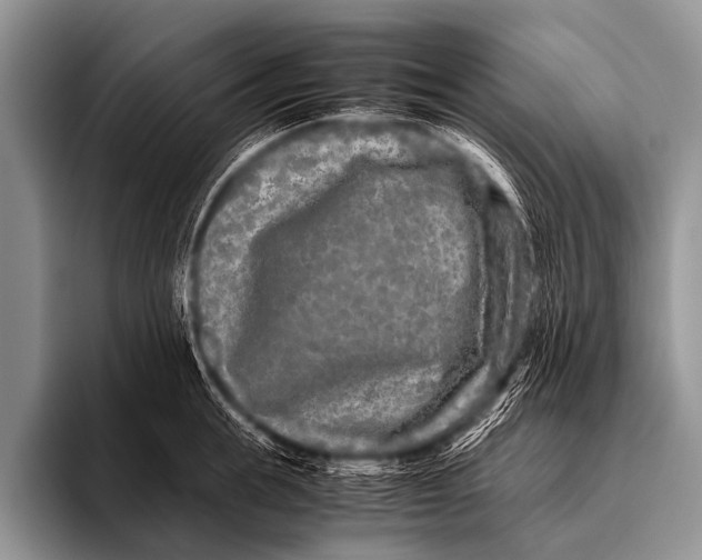 X0000096180855200802081458