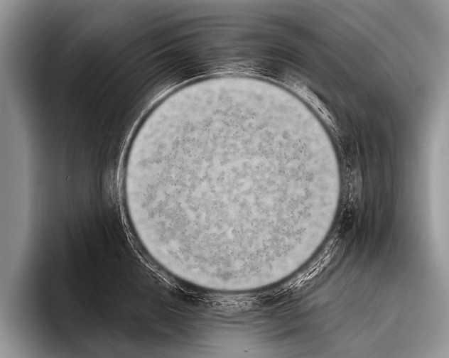 X0000096180856200802081458