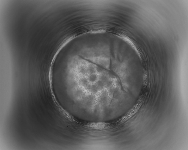 X0000096180859200802081458