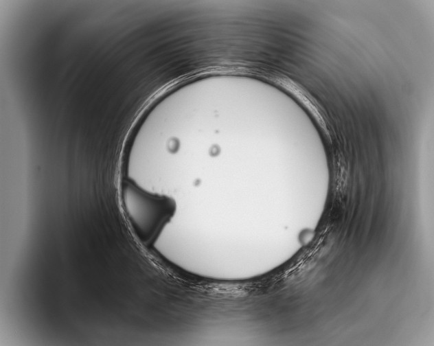 X0000096180861200802081458