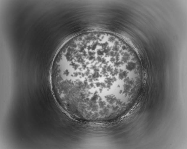 X0000096180863200802081458