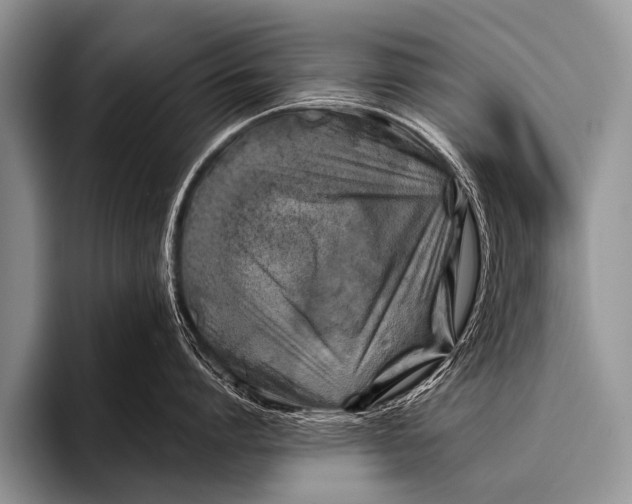 X0000096180864200802081458