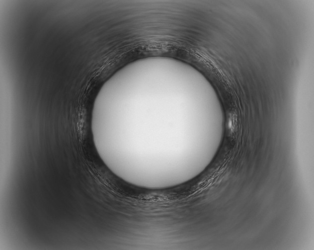 X0000096180867200802081457