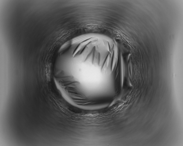 X0000096180868200802081457