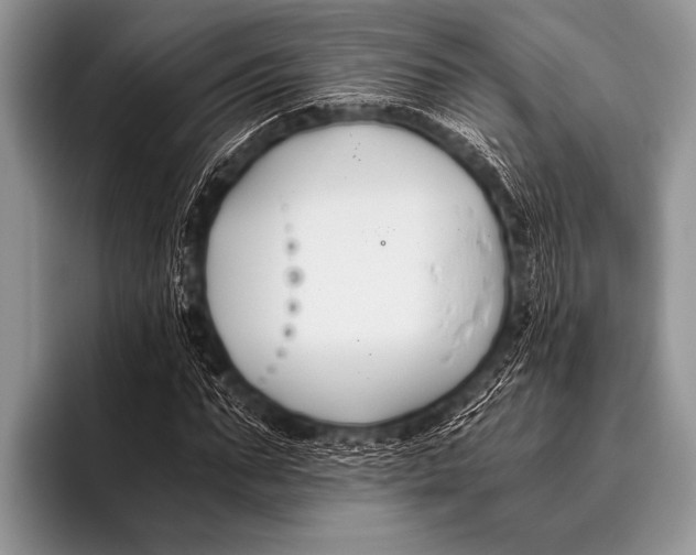 X0000096180871200802081457