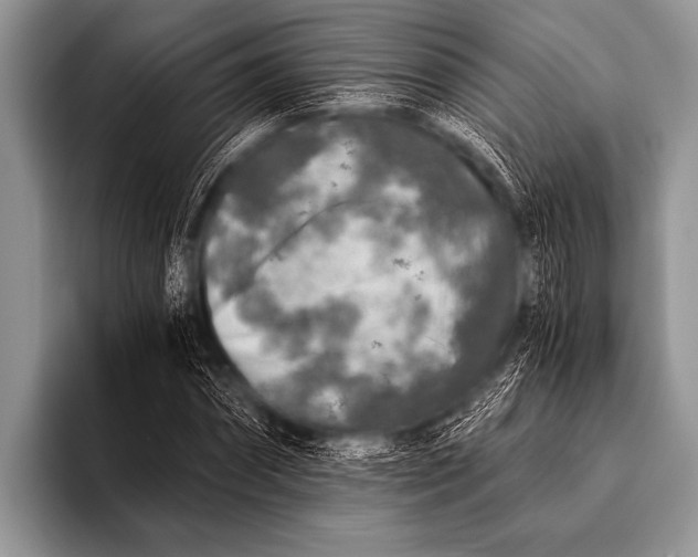 X0000096180874200802081457