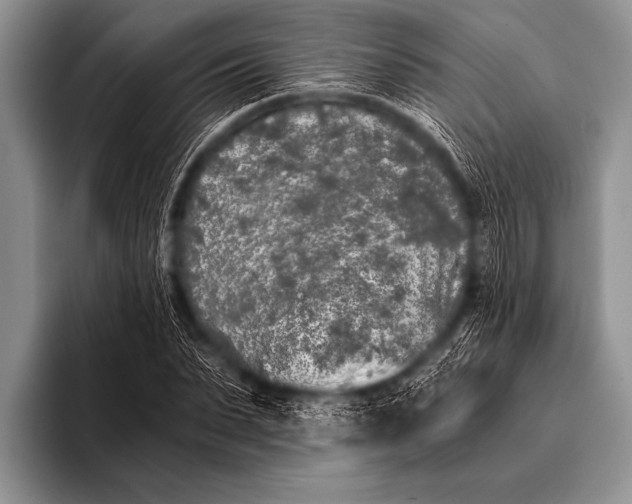 X0000096180879200802081457