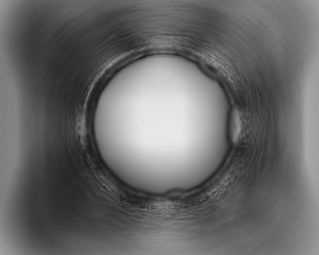 X0000096180880200802081457
