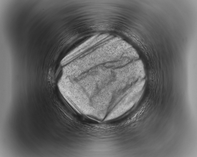 X0000096180881200802081457